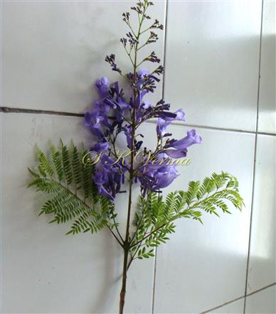  Inflorescence